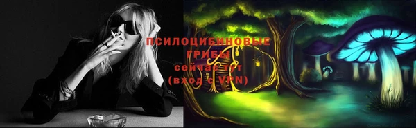 не бодяженный Алзамай